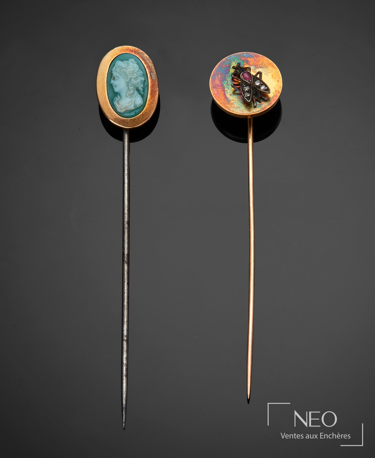 Deux piques de corsage