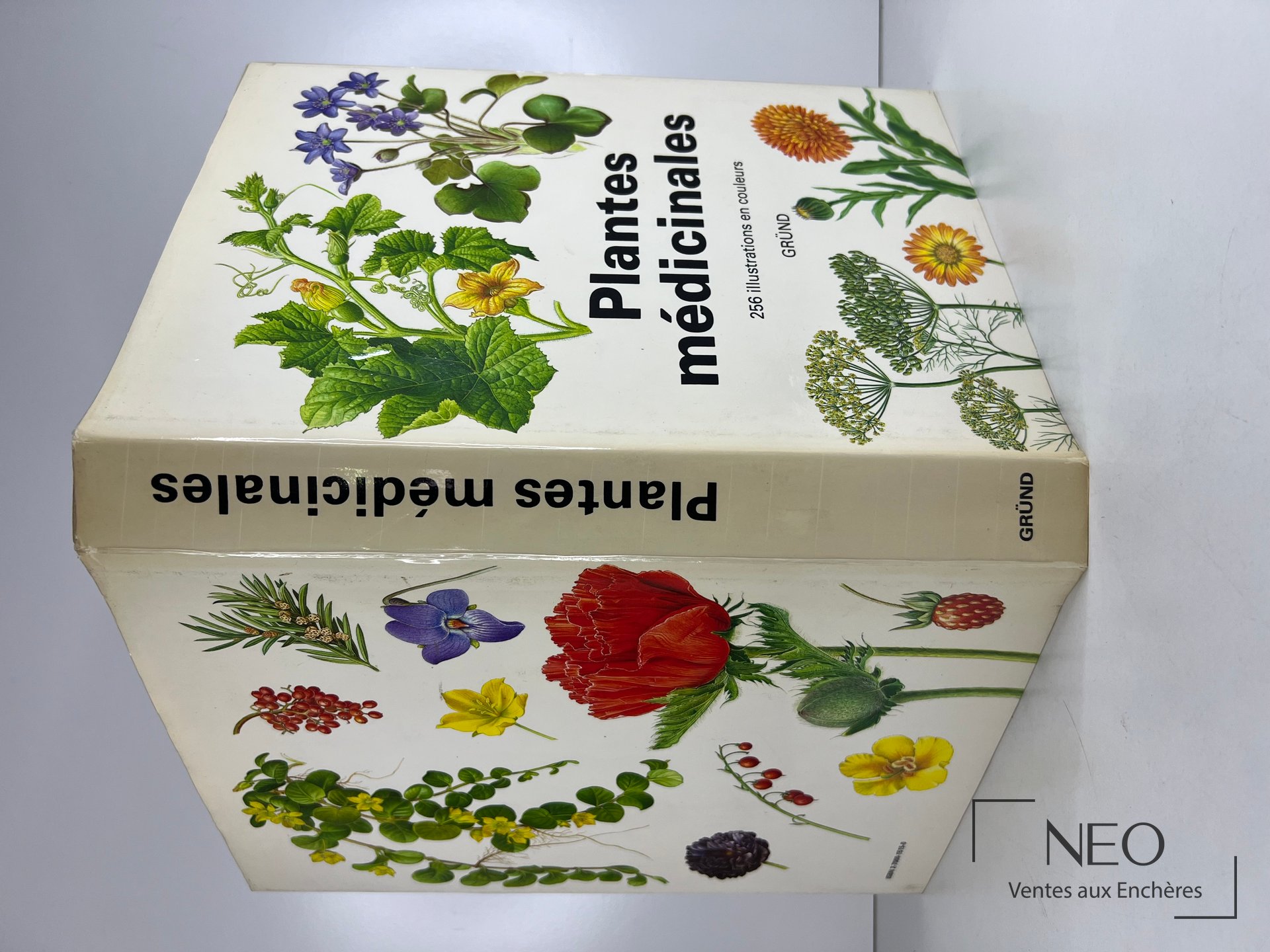 Couverture illustrée du livre Plantes médicinales de Gründ avec motifs botaniques colorés.