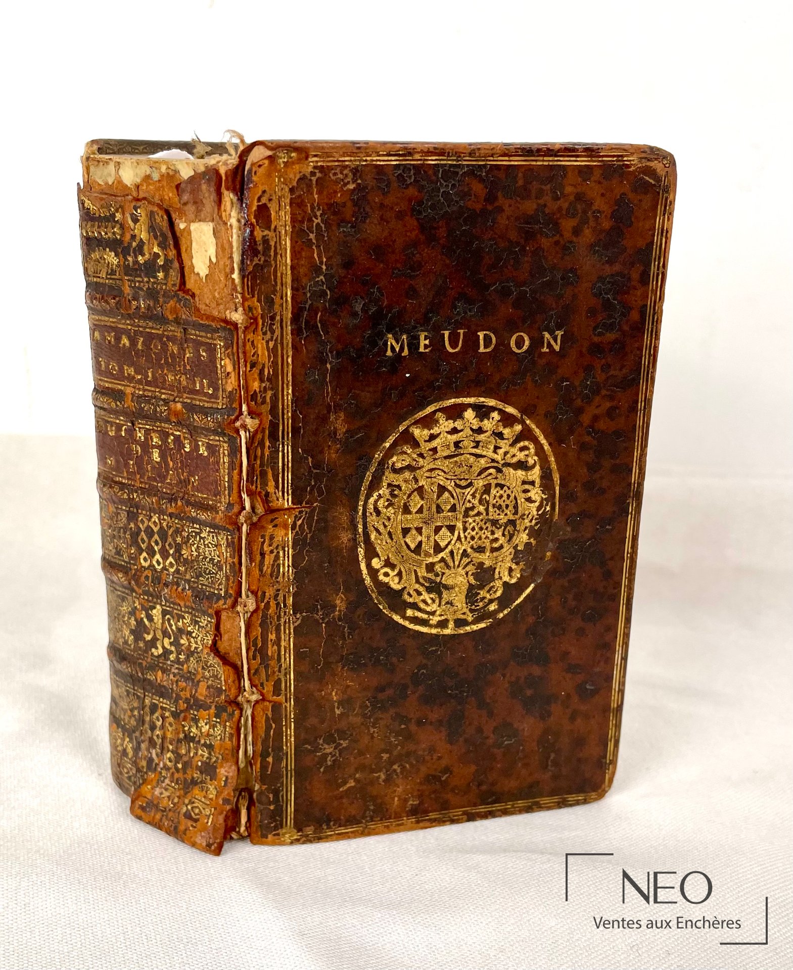 Livre ancien relié cuir brun aux armes et titre Meudon doré sur le plat