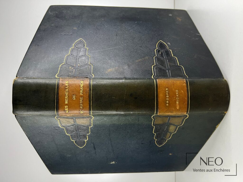 Reliure noire à dos lisse avec titres dorés et motifs décoratifs au plat