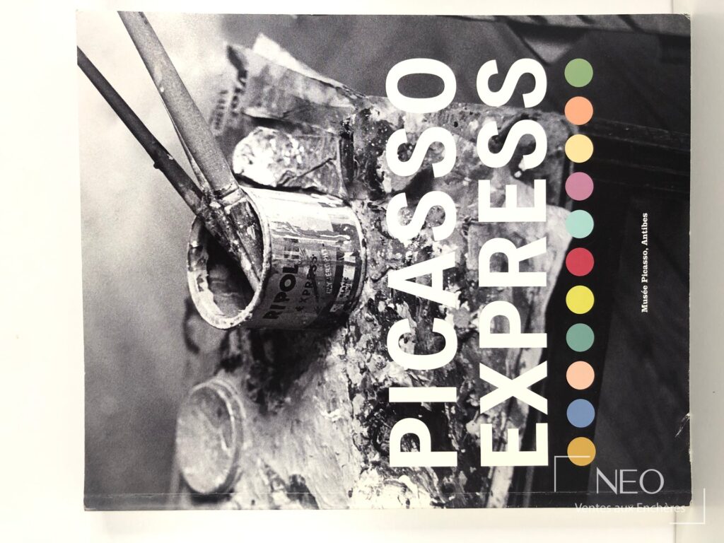 Couverture de Picasso Express de Rainer Metzger avec le titre en grandes lettres blanches sur fond photographique