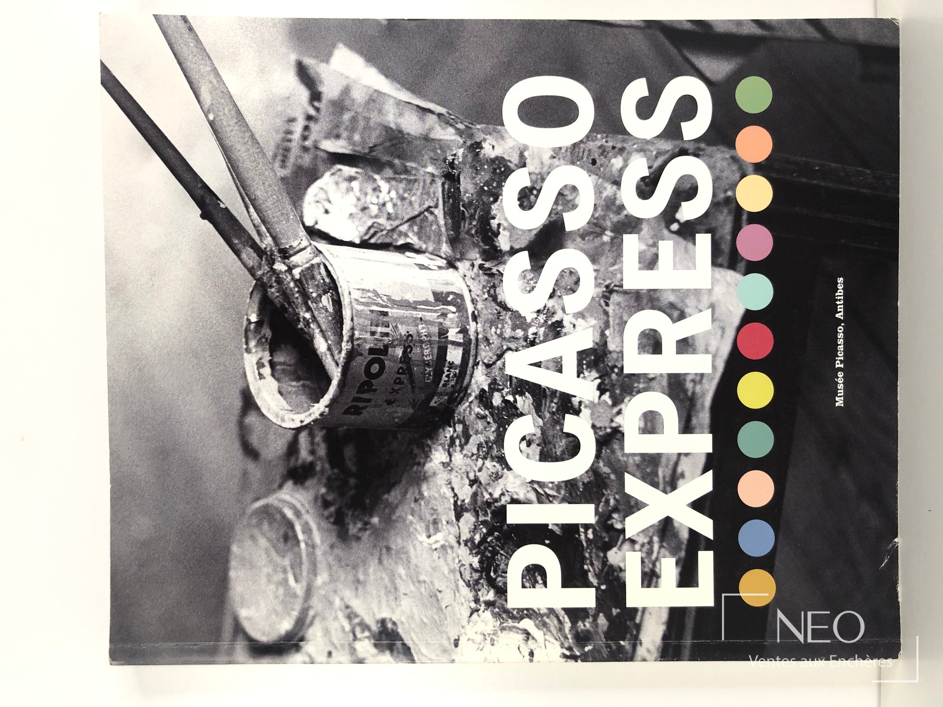 Couverture de Picasso Express de Rainer Metzger avec le titre en grandes lettres blanches sur fond photographique