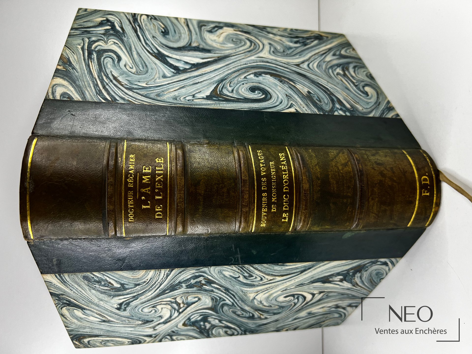 Recamier (Docteur), L’âme de l’exilé, Souvenirs des voyages de Monseigneur le Duc d’Orléans