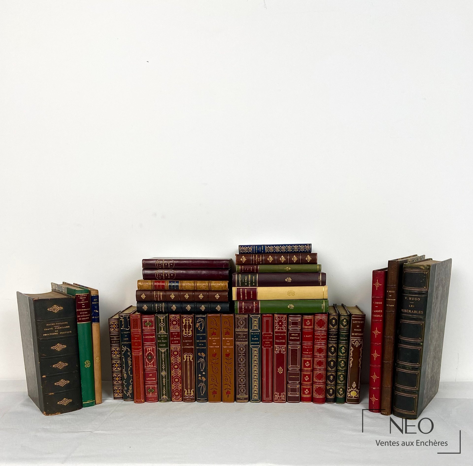Ensemble de livres reliés aux dos décorés