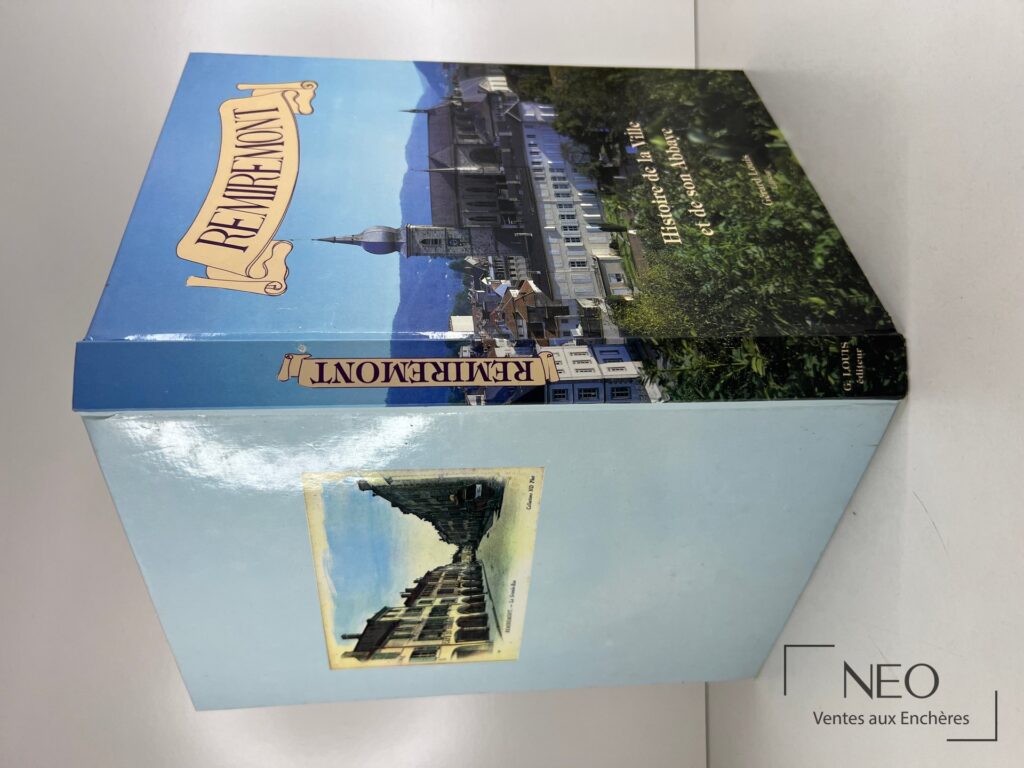 Couverture illustrée du livre Remiremont avec vue de la ville et de l’abbaye