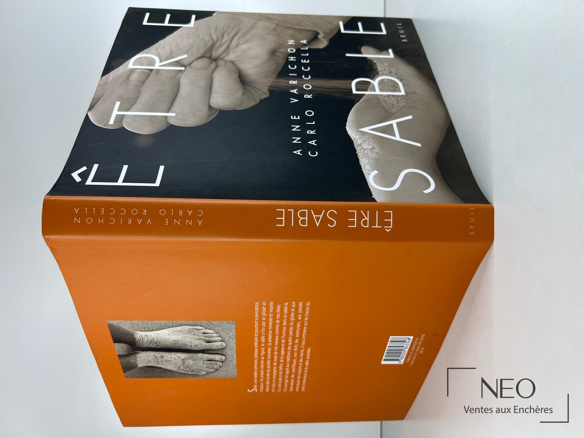Dos orange et quatrième de couverture du livre Être sable de Rocella / Varichon