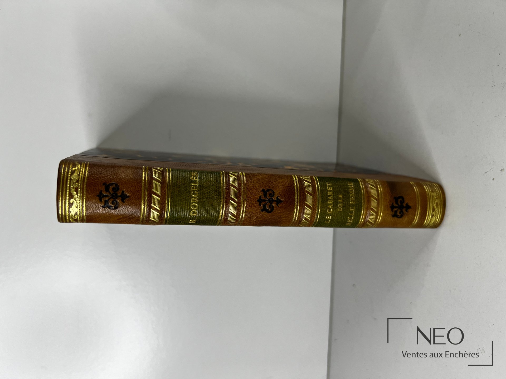 Dos d'un livre relié en demi basane