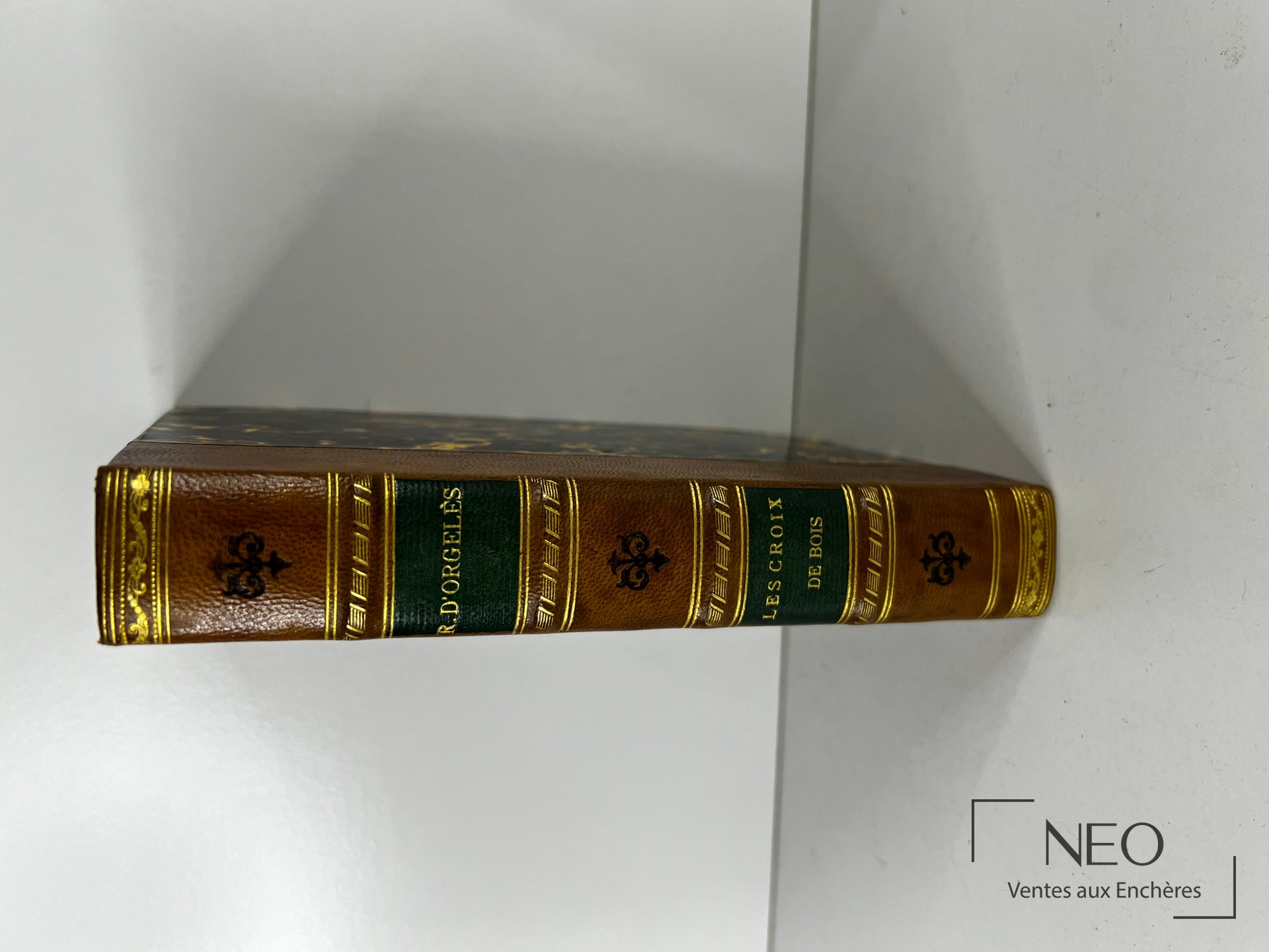 Dos en demi basane avec nerfs et dorures sur le titre