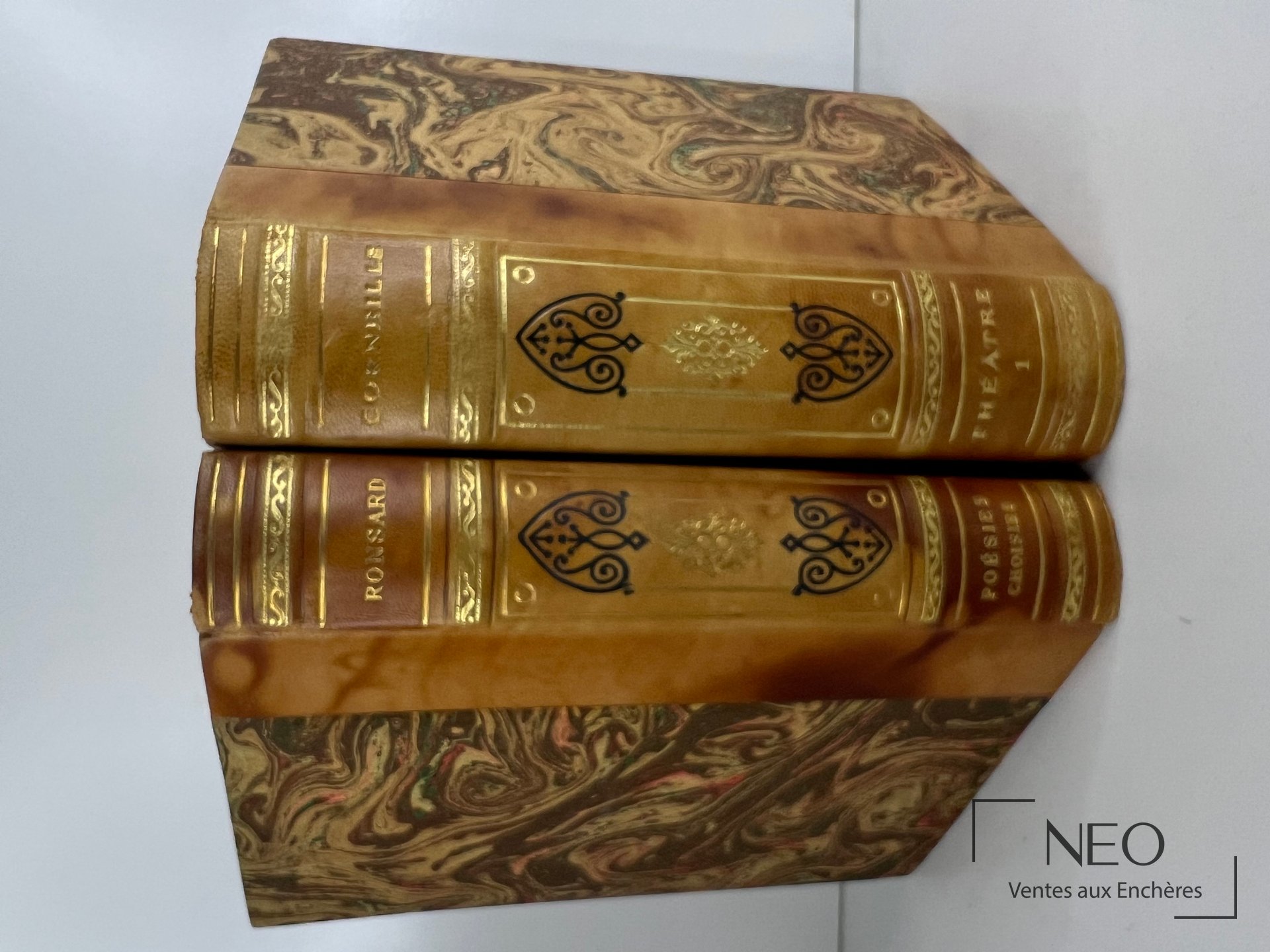 Deux dos de livres anciens en demi chagrin beige avec titres dorés et fers décoratifs