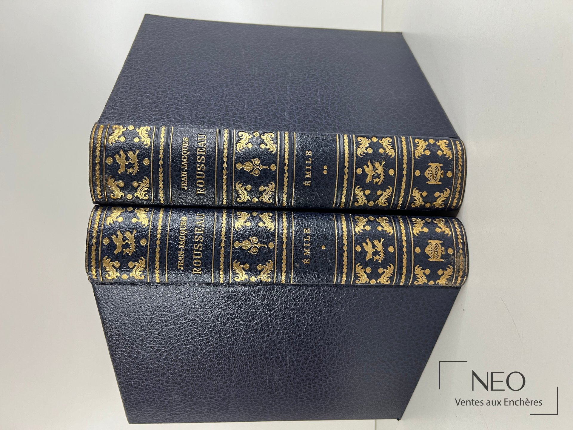 Deux volumes reliés en bleu sombre