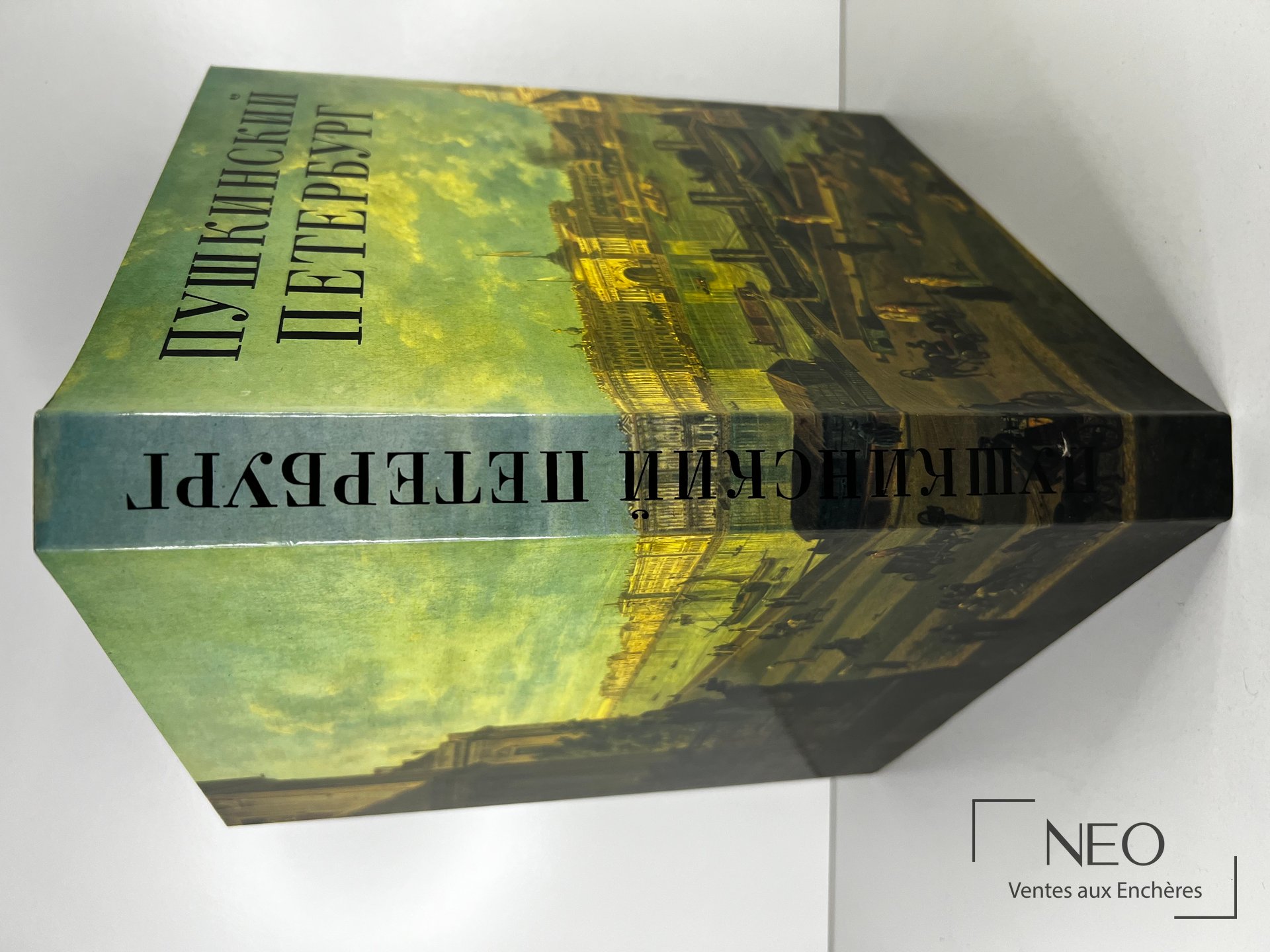 Couverture illustrée du livre Pushkin's St Petersburg