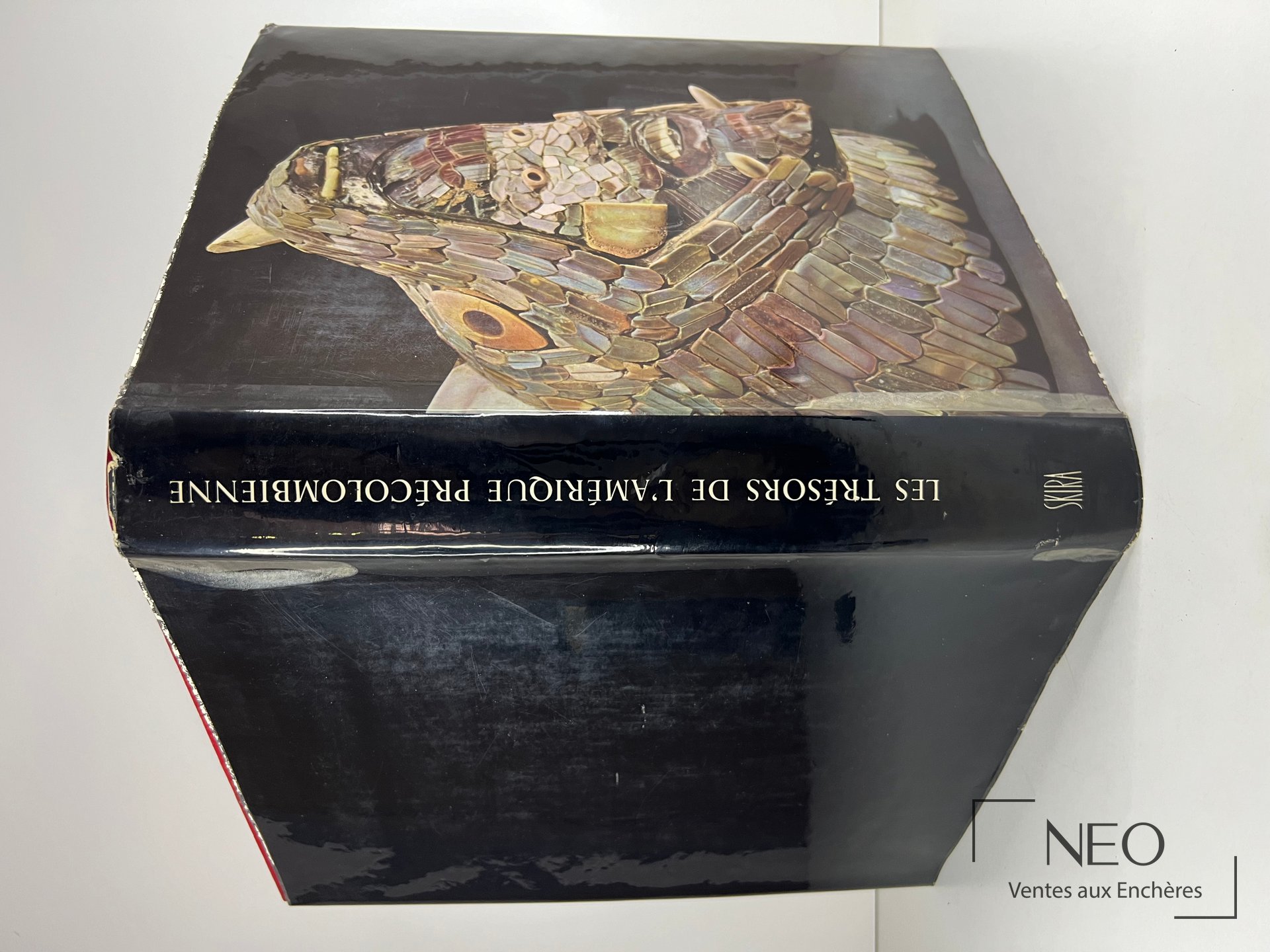 Dos noir lisse d’un livre avec titre imprimé en blanc et couverture illustrée partiellement visible
