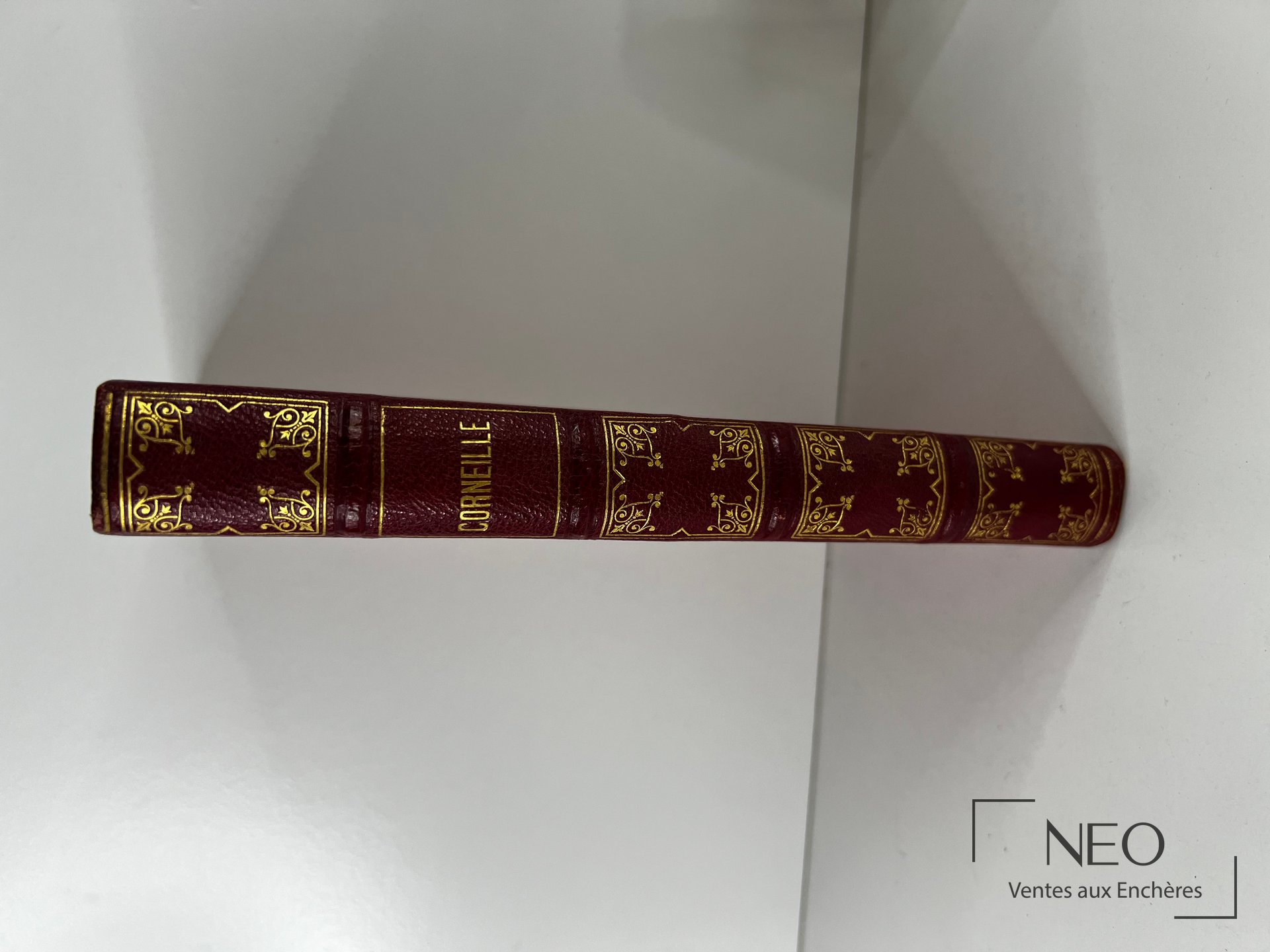 Dos d'un livre en demi maroquin rouge