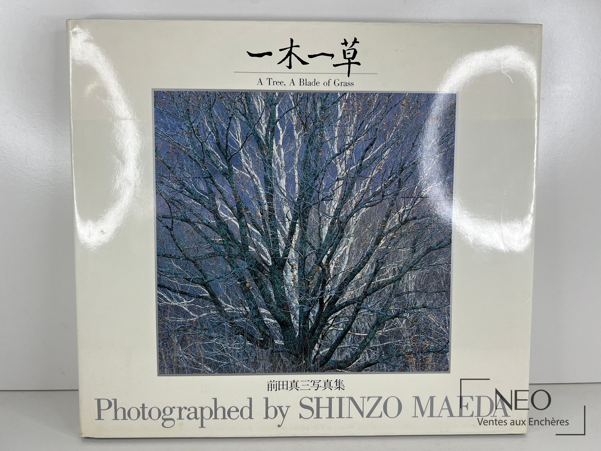 Couverture du livre Tree a Blade of Grass de Shinzo Maeda avec photographie d'arbre enneigé.