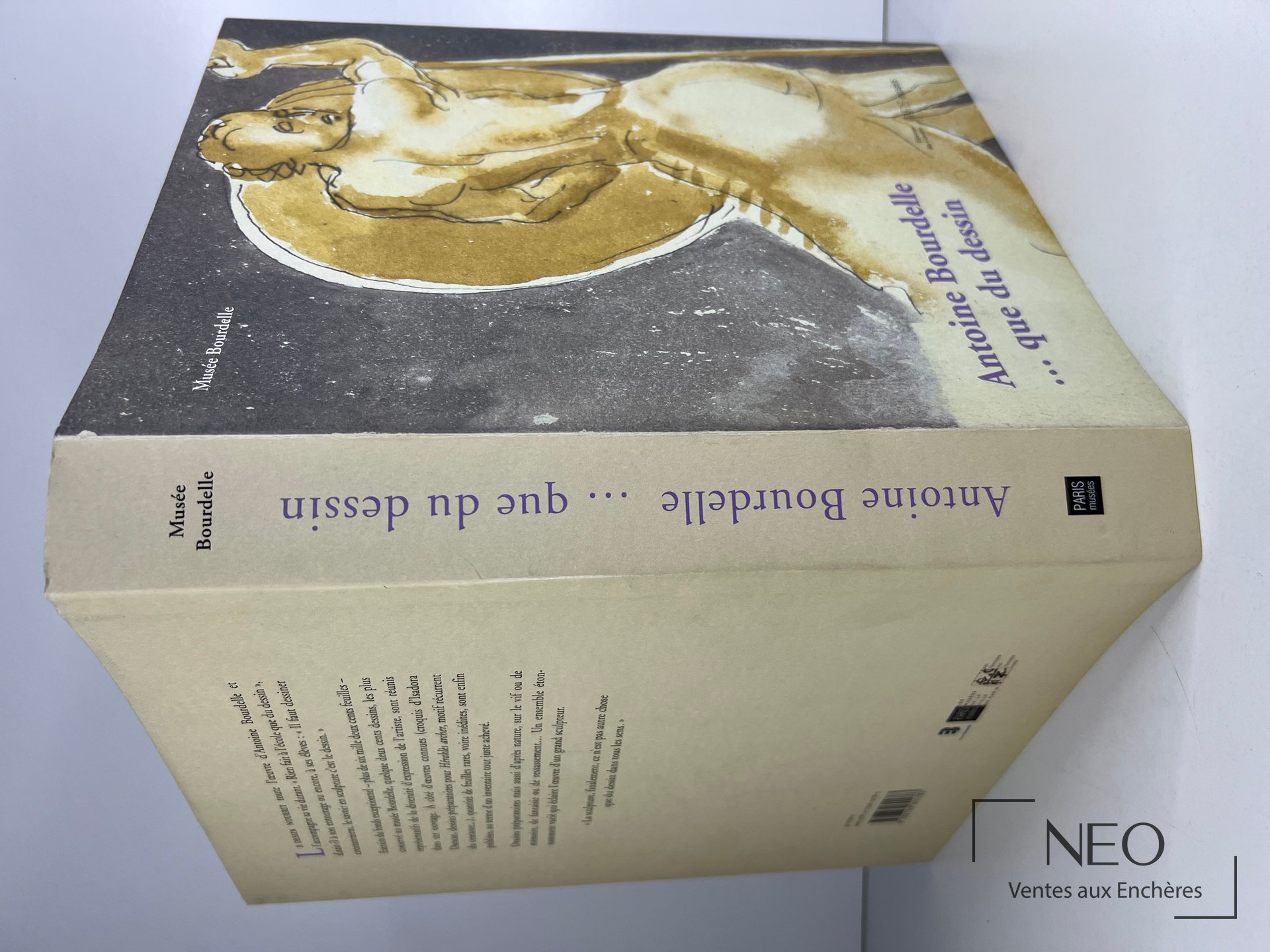 Couverture illustrée du livre Antoine Bourdelle... Que Du Dessin de Stéphanie Cantarutti