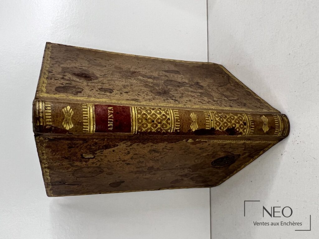 Dos d’un livre ancien en veau avec décor doré et pièce de titre rouge