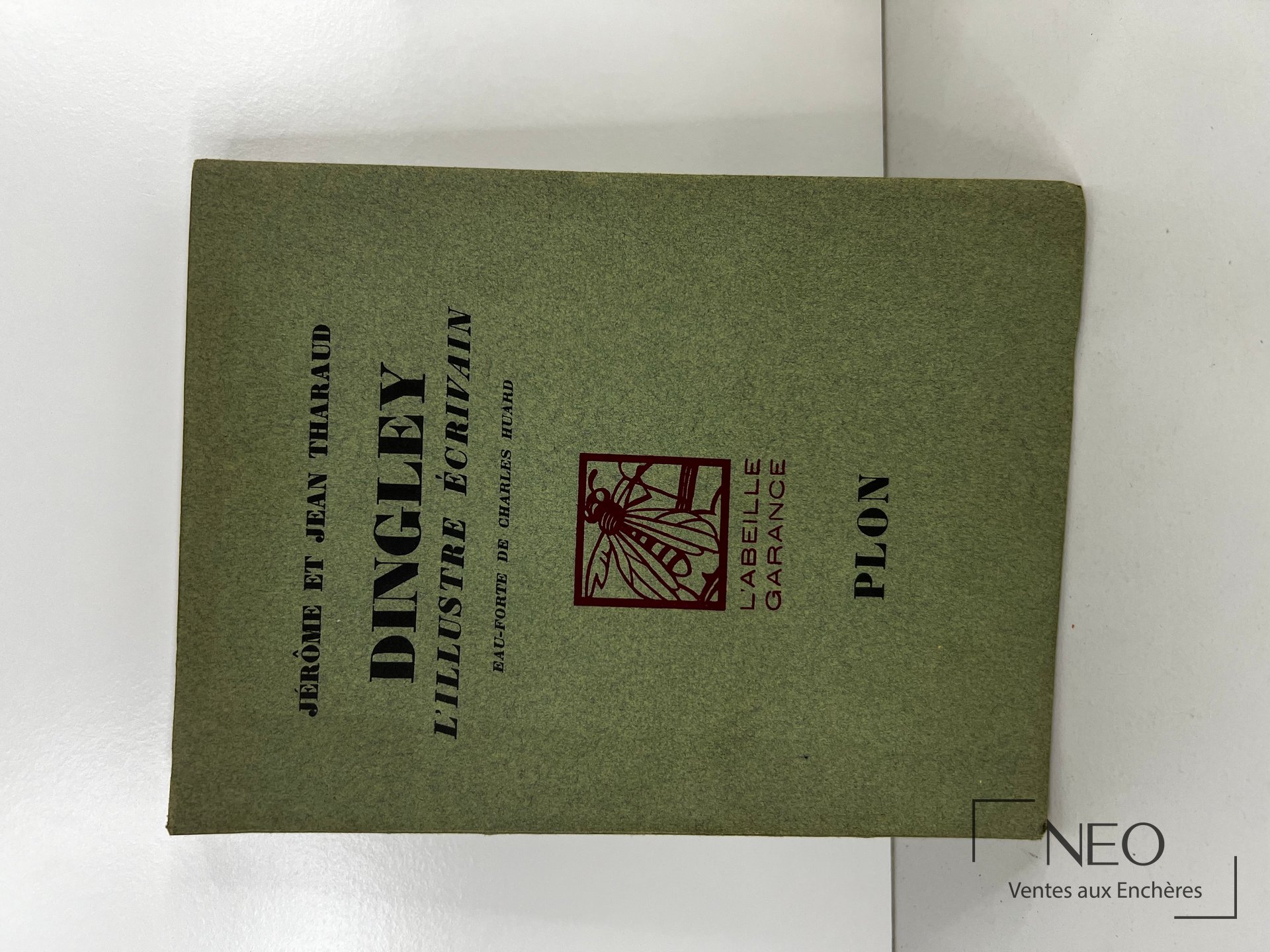 Couverture verte de Dingley l'illustre écrivain