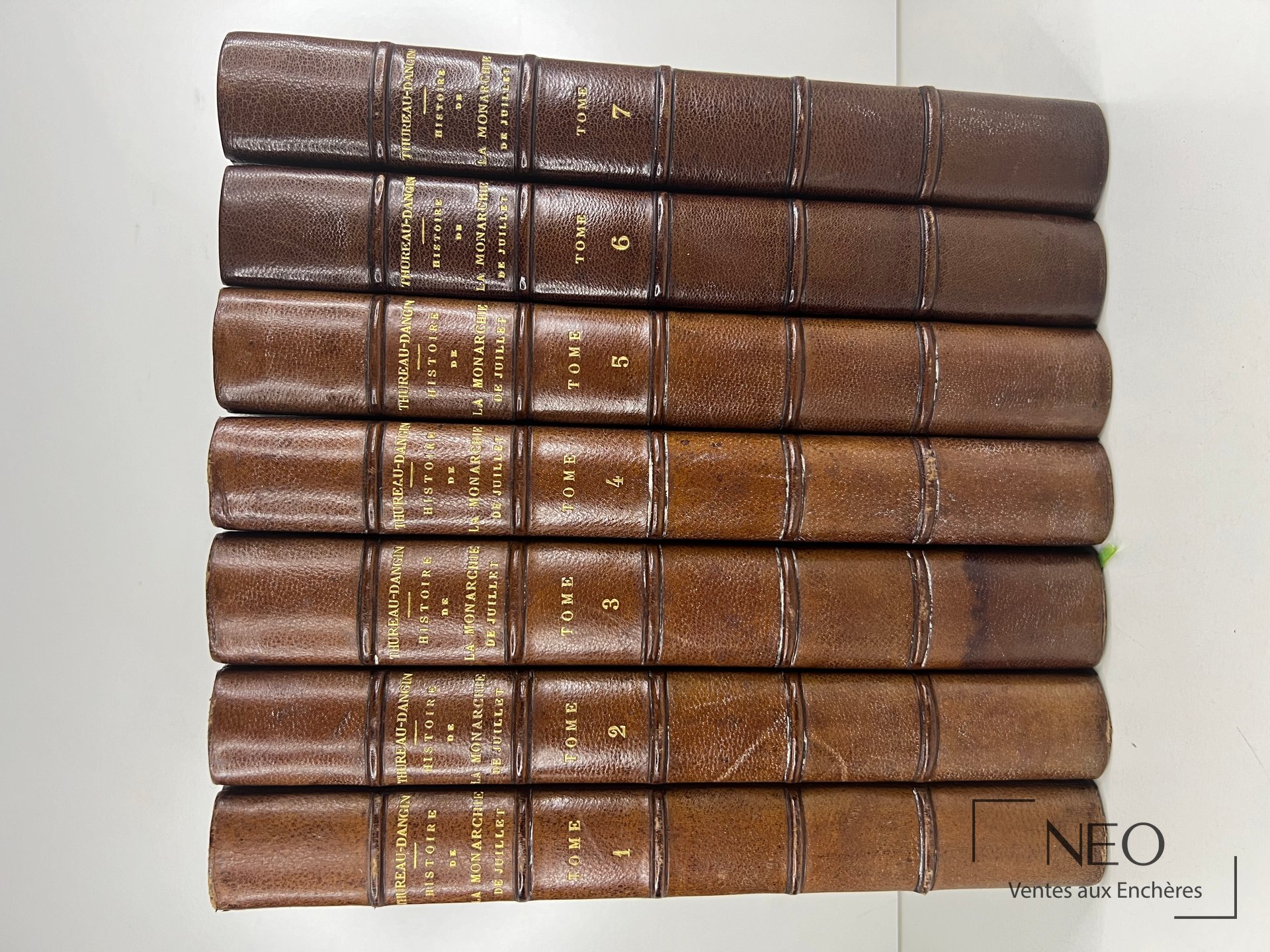 Sept volumes reliés en demi chagrin brun