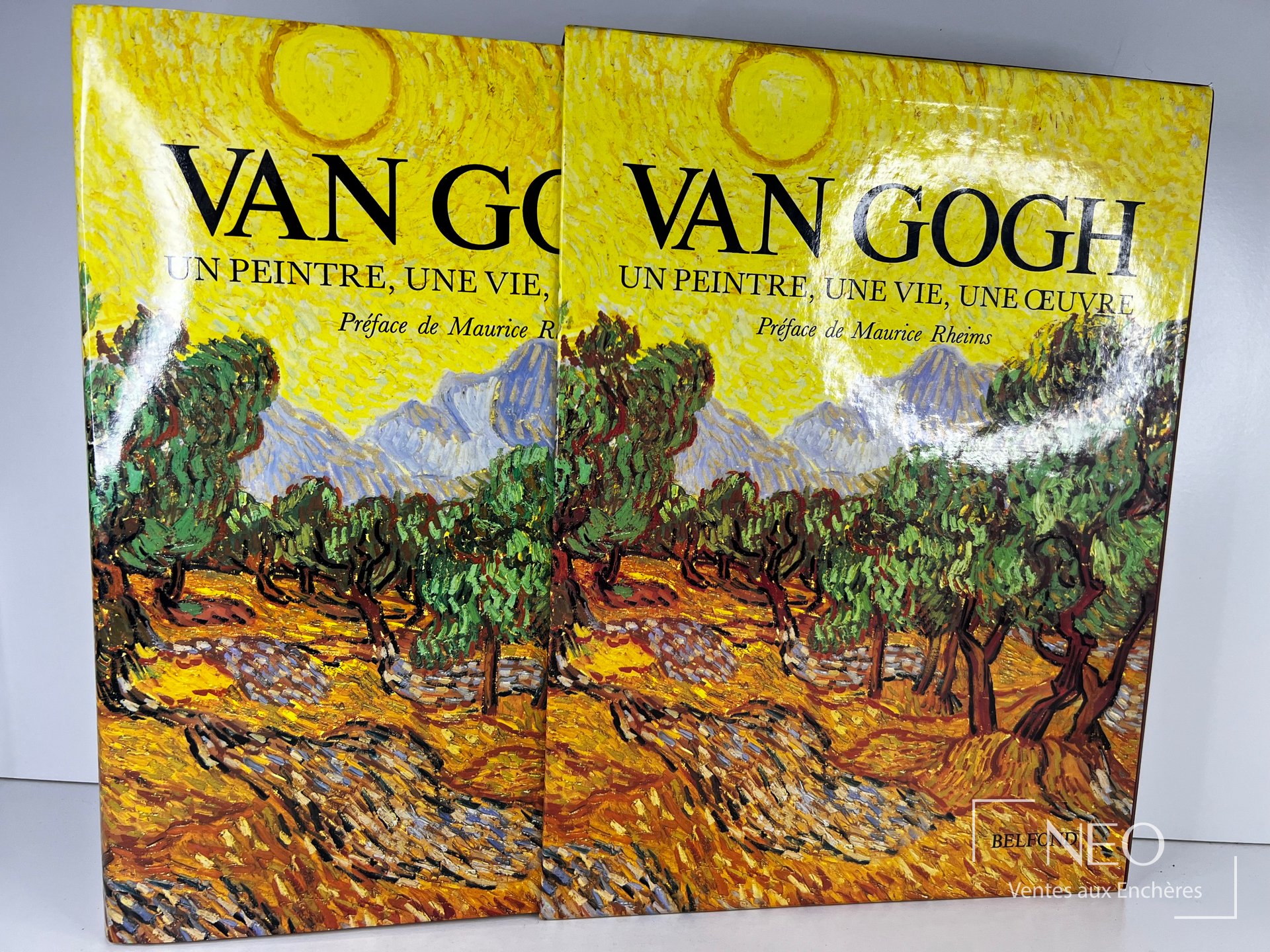 Couverture illustrée du livre Van Gogh Un peintre