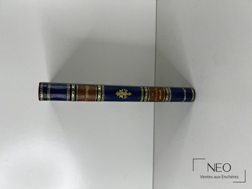 Dos d'un livre relié en demi basane bleue avec titre doré et dos à nerfs.