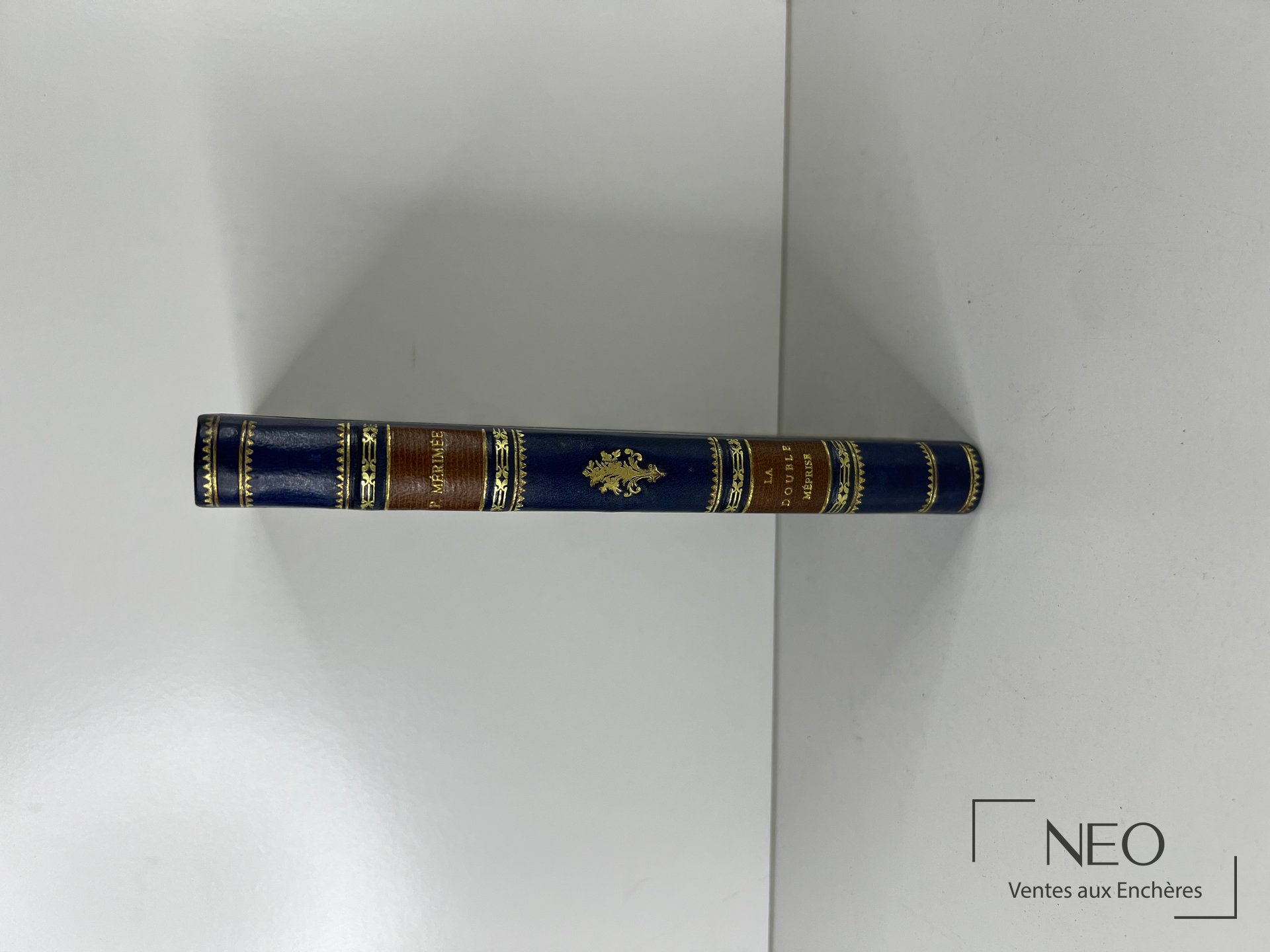 Dos d'un livre relié en demi basane bleue avec titre doré et dos à nerfs.