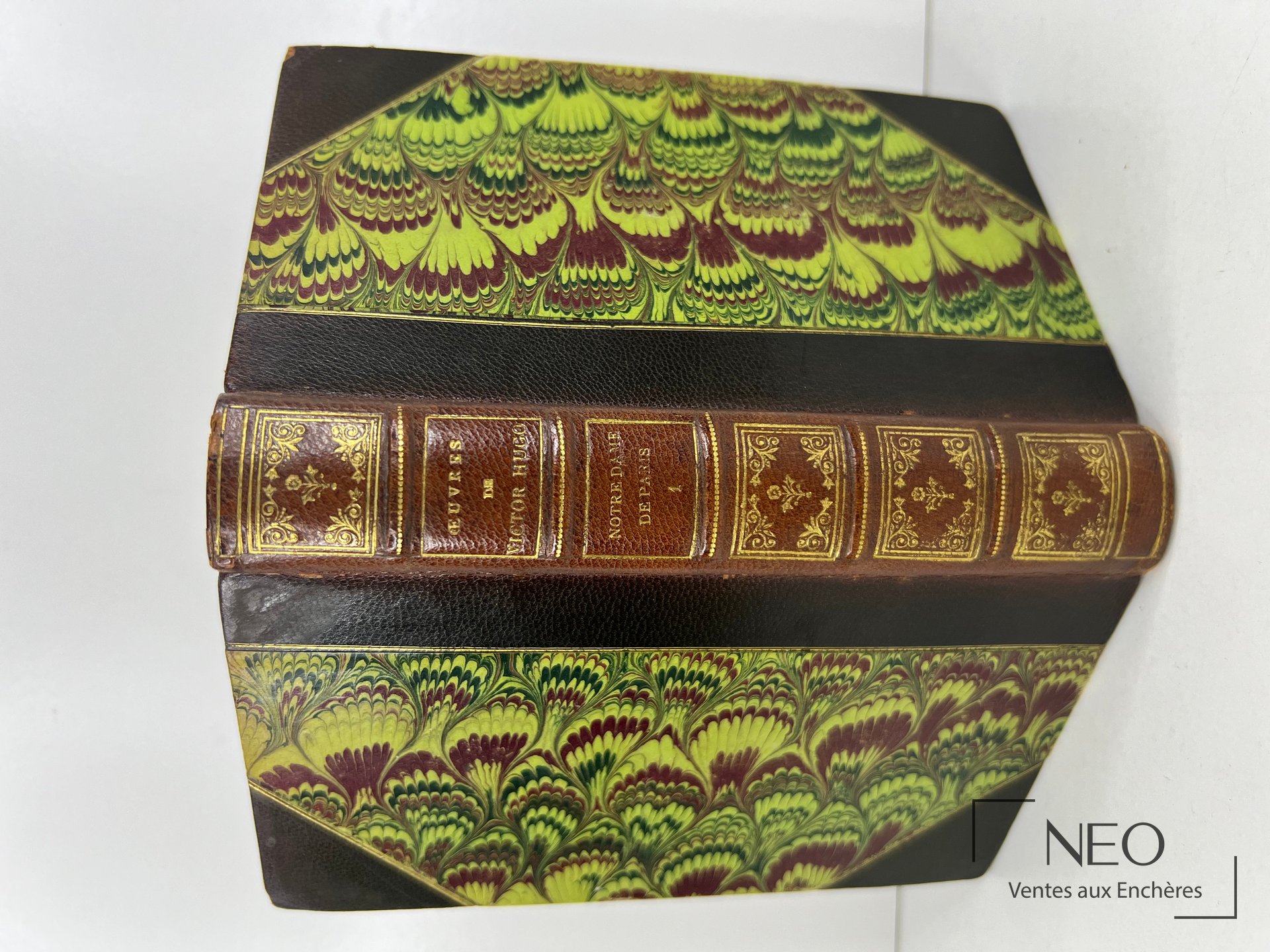 Reliure demi chagrin de Notre dame de Paris de Victor Hugo avec plats marbrés