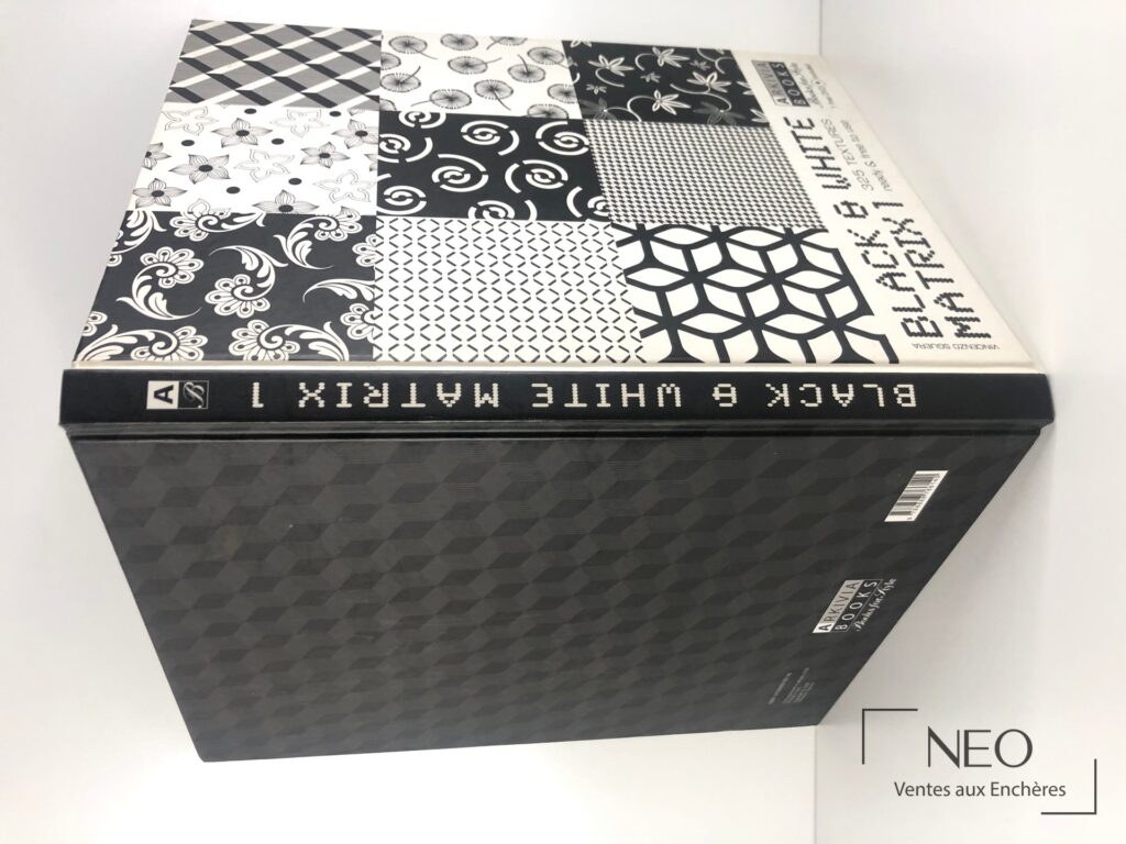 Couverture du livre Black and White Matrix de Vincenzo Sguera