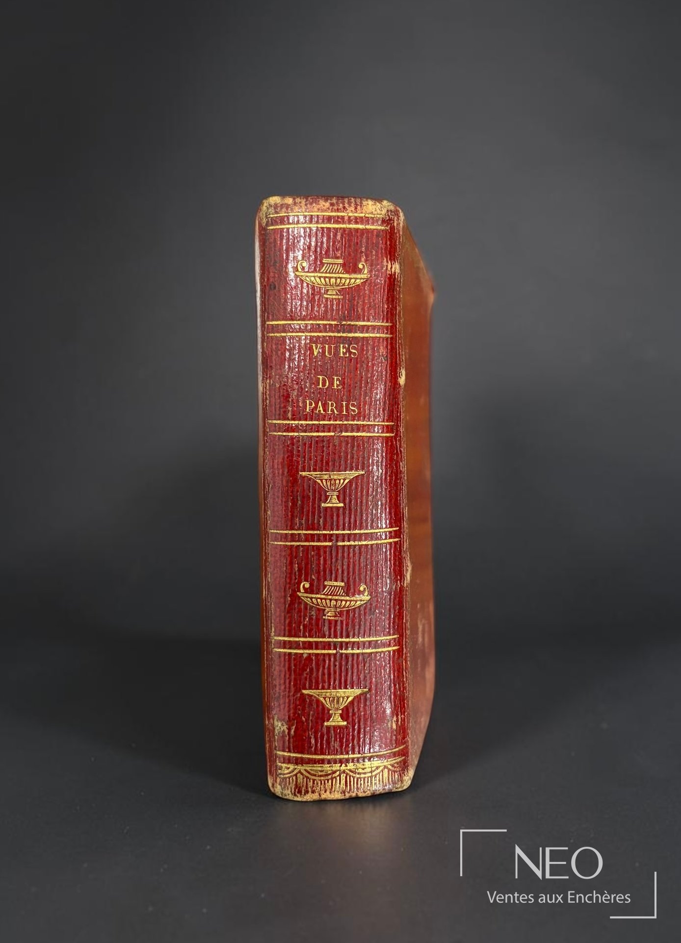 Dos en cuir maroquiné rouge orné de filets et motifs dorés