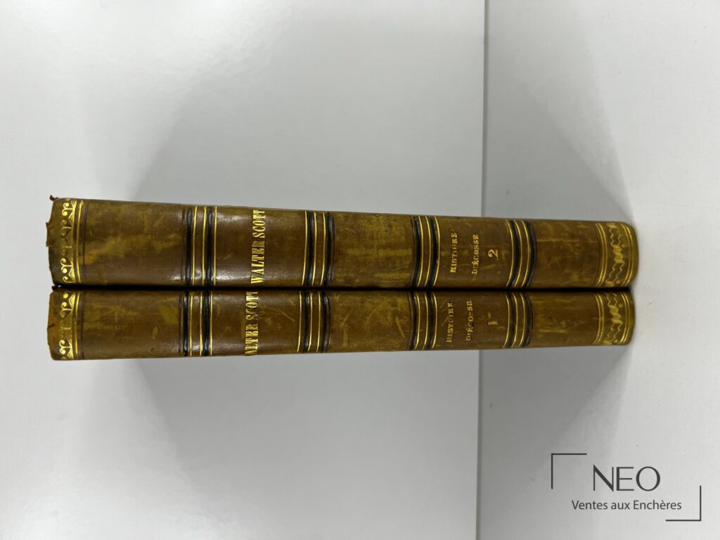 Deux dos de reliures en demi basane