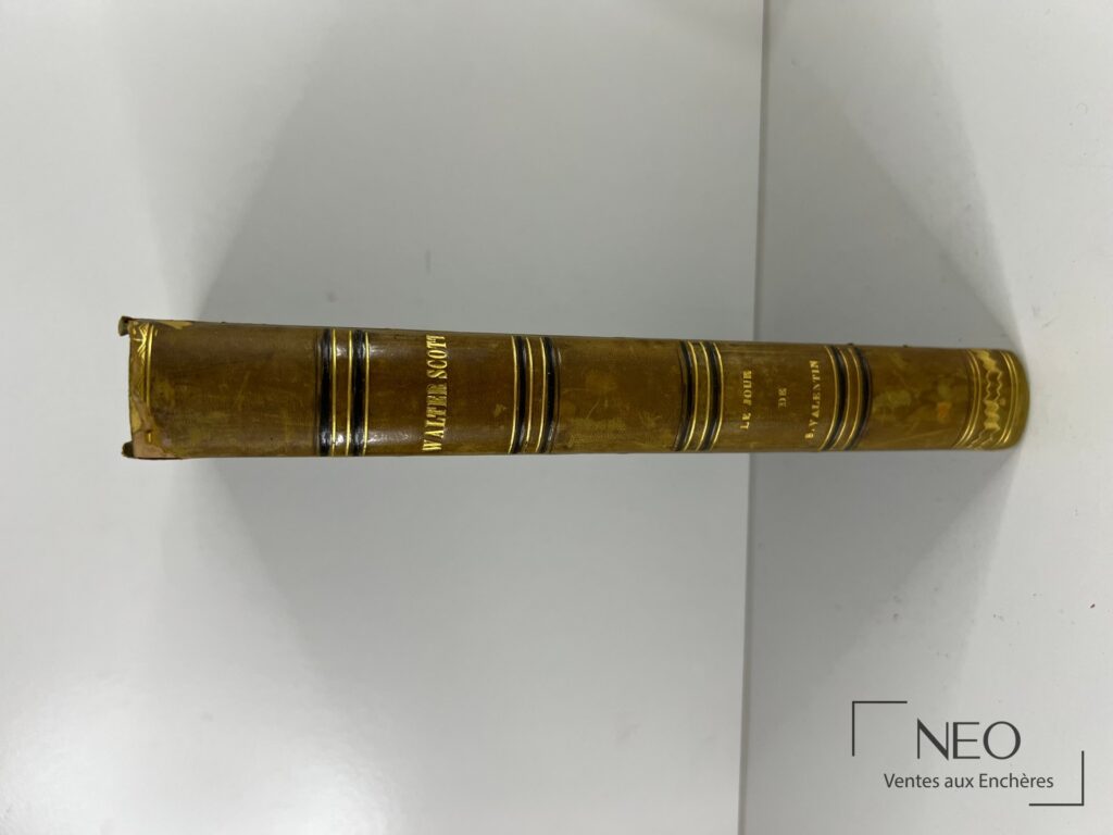 Dos d’un livre ancien en demi-basane avec titre doré et ornements.