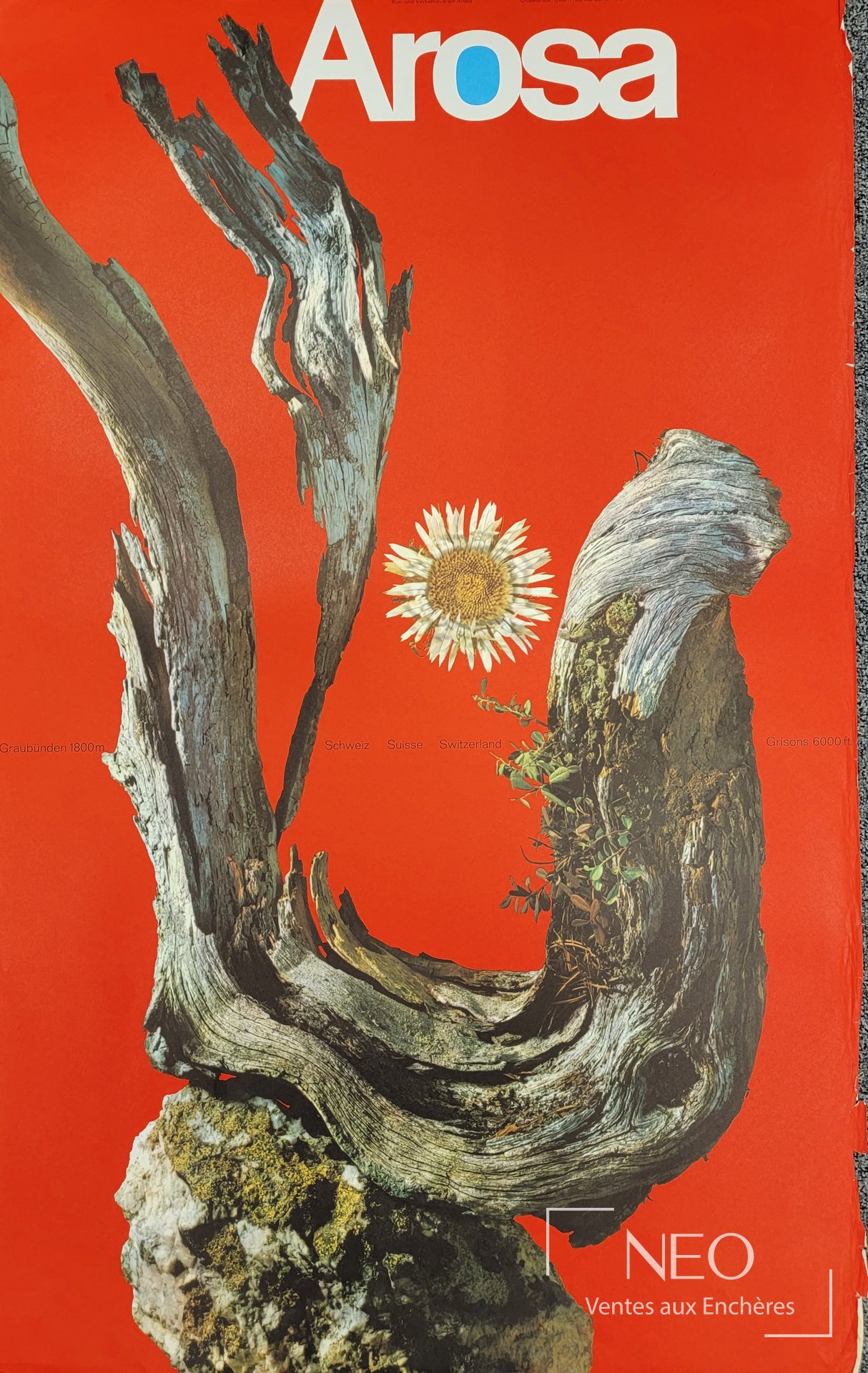 Affiche Arosa de Werner ZRYD en couleurs sur fond rouge avec tronc d'arbre et fleur