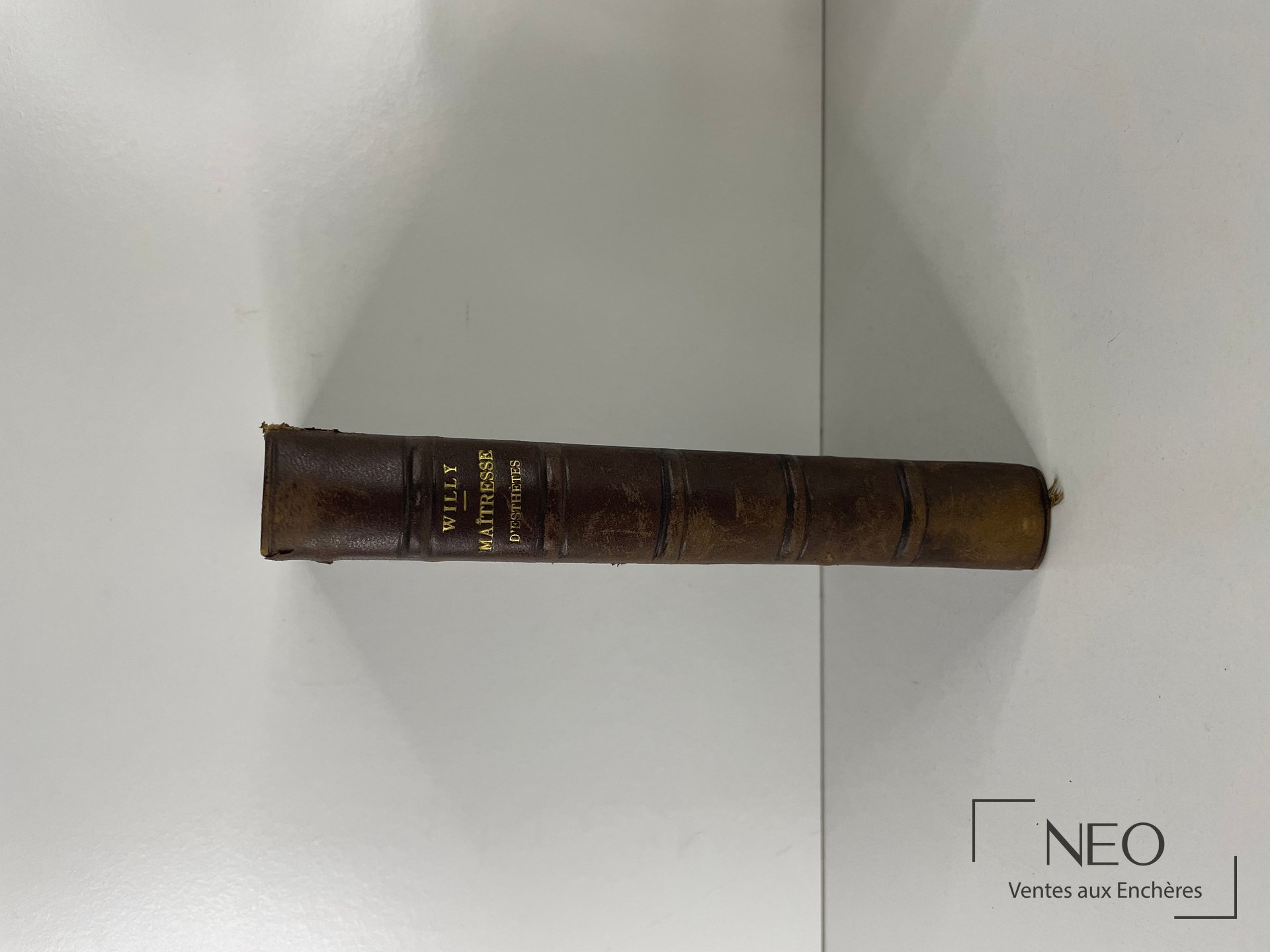Dos en demi chagrin brun avec nerfs et titre doré