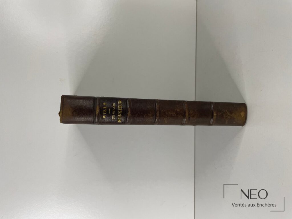 Dos en demi chagrin brun à nerfs