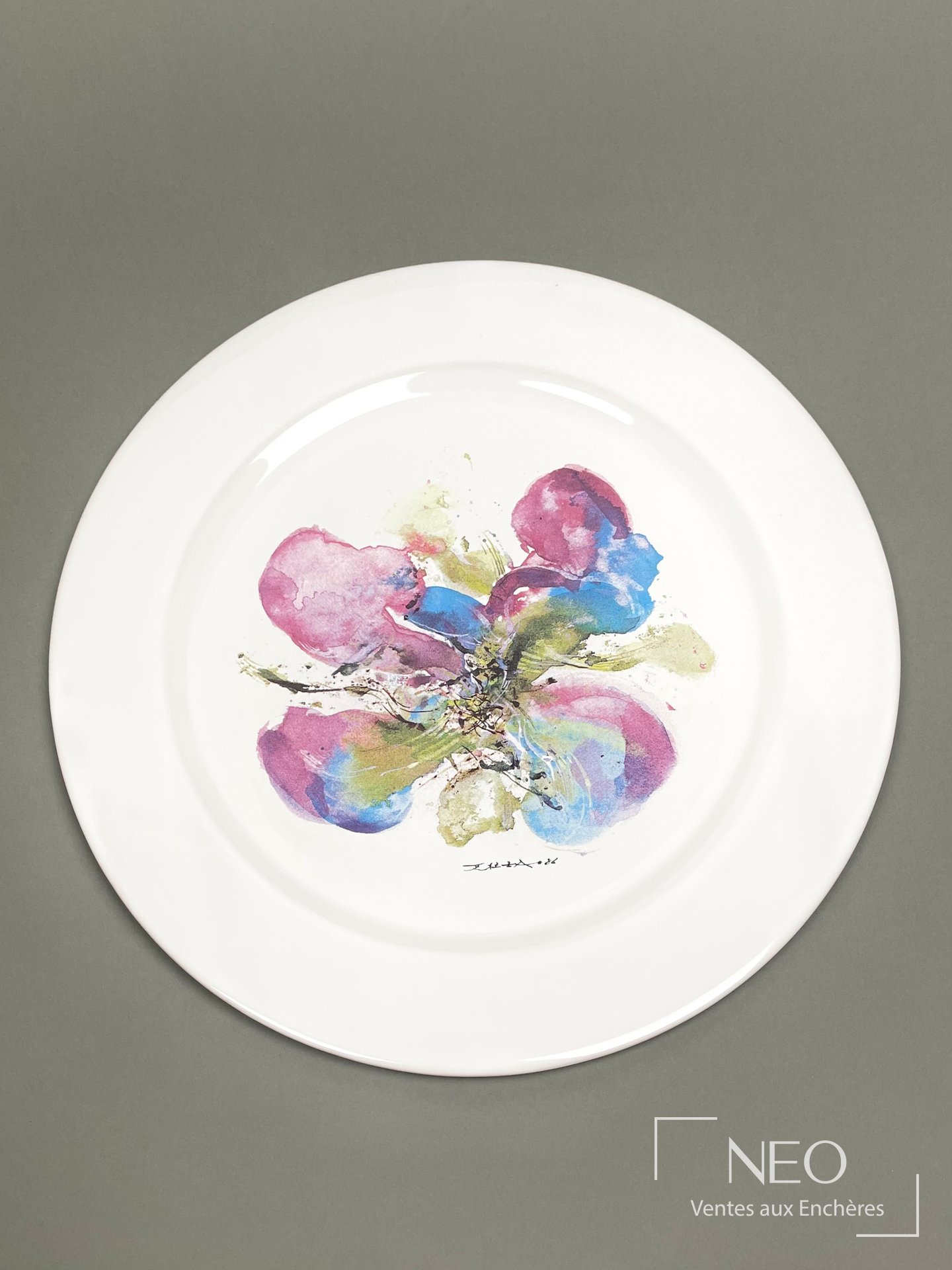 Assiette large en faïence émaillée blanche
