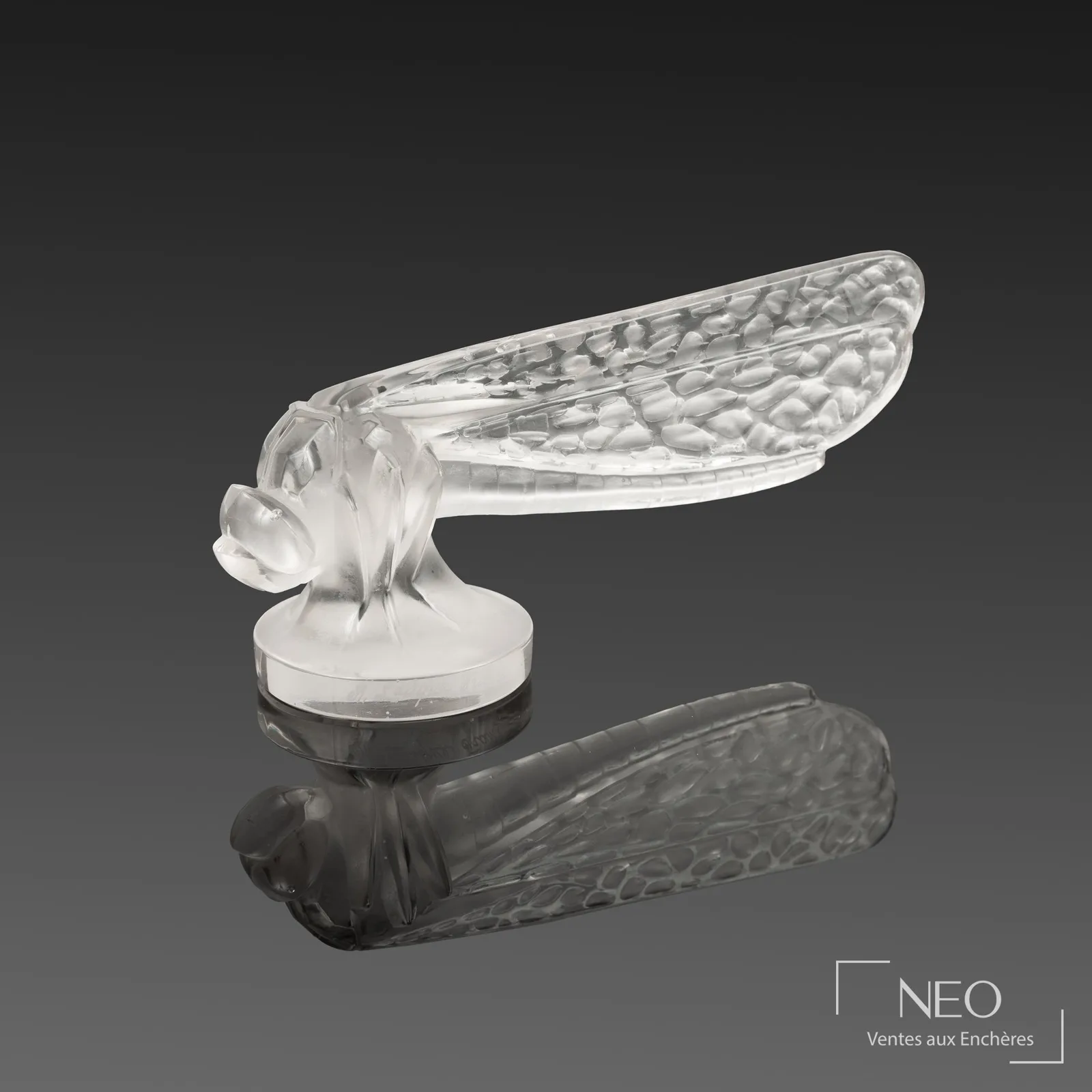 Bouchon de radiateur Petite Libellule de René Lalique en verre blanc moulé-pressé adjugé par NEO Enchères