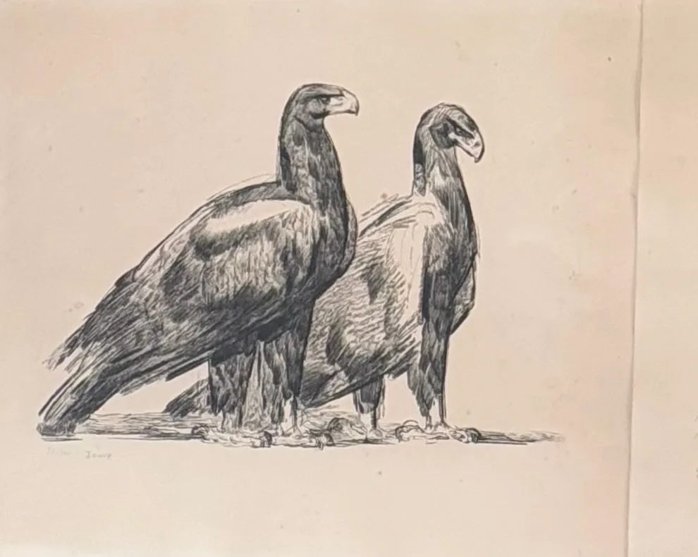 Planche aux deux aigles de Paul Jouve portant une signature apocryphe, identifiée par NEO Enchères