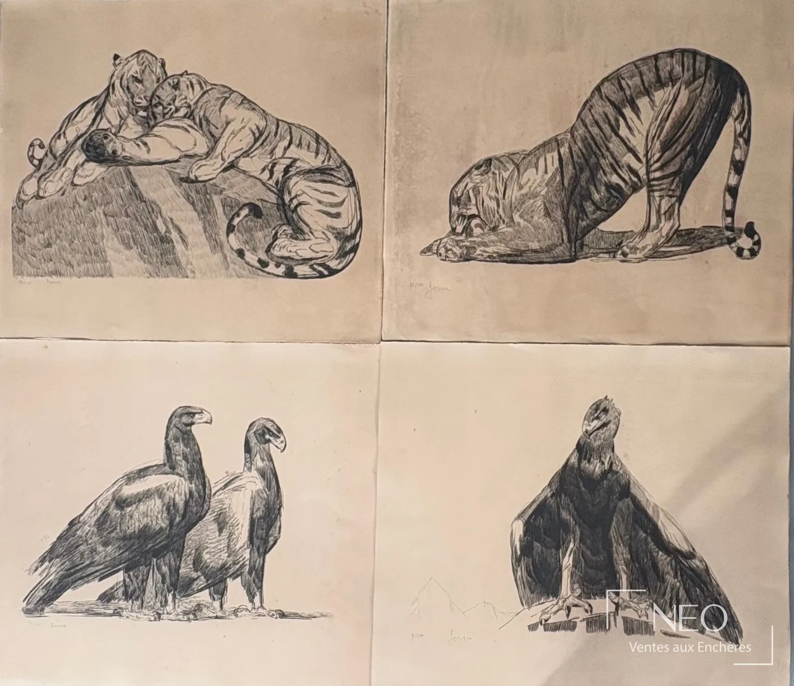 Planches de l'album des onze eaux-fortes de Paul Jouve : tigres et aigles, vendues par NEO Enchères